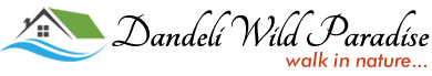 Dandeli Wild Paradise